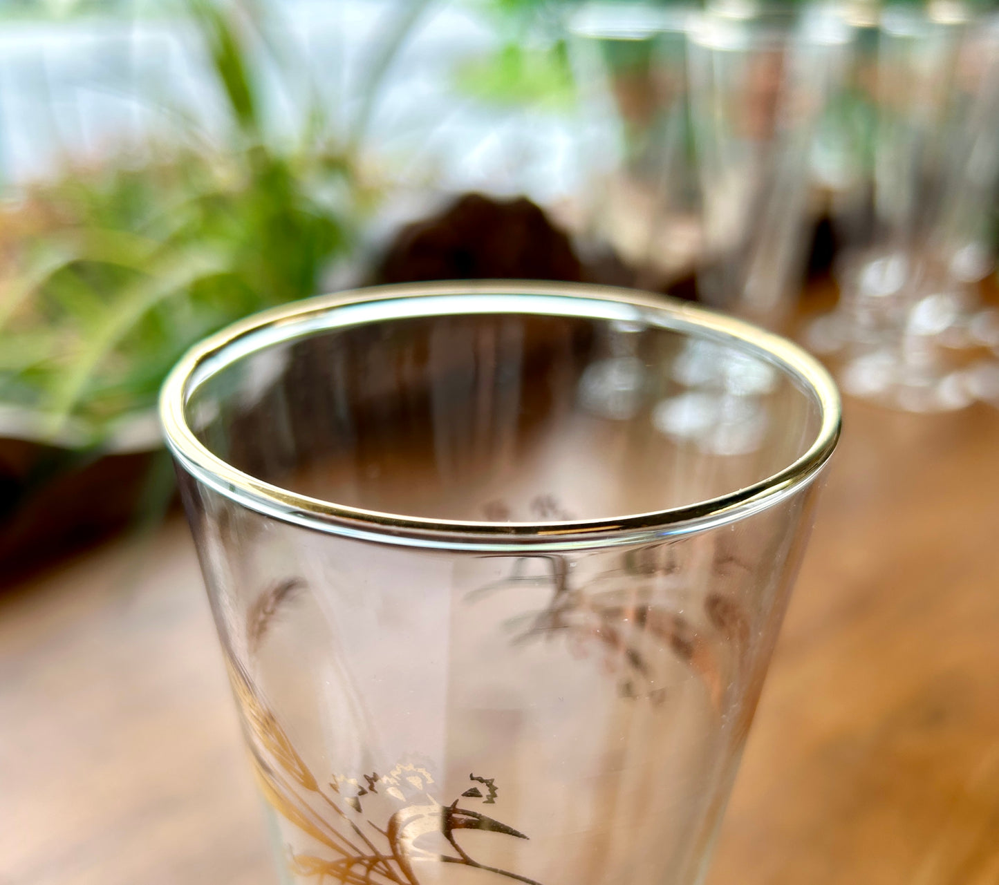 11 Mid Century Pilsner Glasses, Golden Wheat Cocktail Glasses